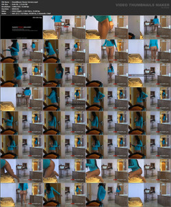 nakedpizzadelivery/Screenlist/Paulina/DownBlouse-Room-Service.mp4.jpg
