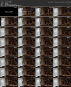 nakedpizzadelivery/Screenlist/Paulina/NakedGirls-Rook-Service.mp4.jpg