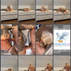 Inked_Dani_VIP Videos Set 2 thumbnail