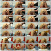 Elmer_2011 thumbnail