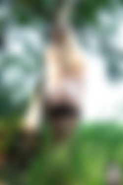 Ulula/2019-03-21 A day at the forest/32.jpg