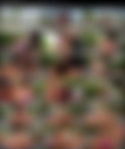 Sara Loves Public Anal/pb19090-2160p.jpeg