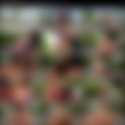 Sara Loves Public Anal