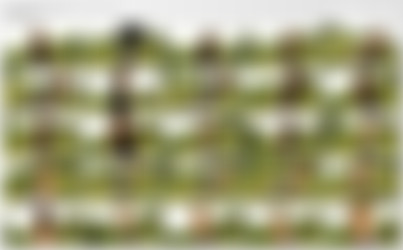 Kelly McGregor (video)/[Only-Opaques.com] [2009] Kelly McGregor (Summer).jpg