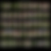 [XXXRaimi.com] Siterip/pics/Solo/Thumbnails