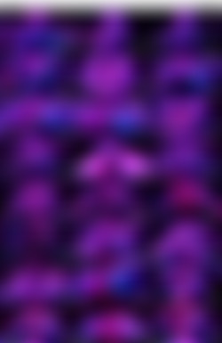 Tsarina Baltic - Tsarina Phenomenon/images/Tsarina Baltic - Tsarina Phenomenon.mp4.jpg