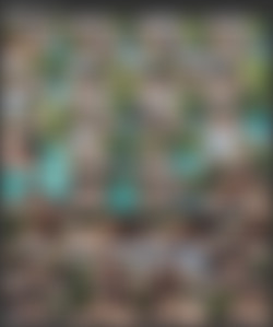 Mia River/Screens/Family Summer Chores.mp4.jpg