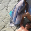 BeachHunters_15469-15574 thumbnail