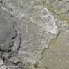 BeachHunters_17780-17877 thumbnail