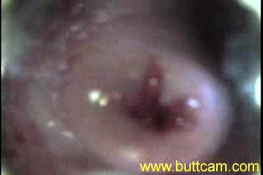 [SEG] Mia Sweet/[ButtCam.com] Mia/clip_1_high_all.wmv