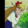 Sailor.Moon.R.S02.MULTi.1080p.WEB.x264-D4KiD thumbnail