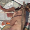 BeachHunters_17780-17877 thumbnail