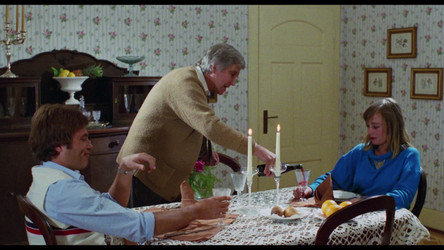Mad Foxes 1981 1080p BluRay Remux REPACK AVC FLAC2 0-PTP.mkv