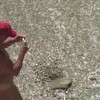 BeachHunters_16616-16727 thumbnail