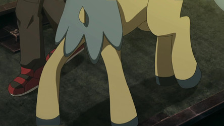 pokemon S00/Movie 15 - Kyurem vs. The Sword Of Justice S00E30 [BluRay].mkv