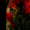Playboy - Playmate Review thumbnail