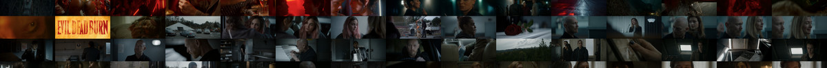 Evil.Dead.Burn.2026.1080p.WEBRip.10Bit.DDP5.1.x265-NeoNoir.mkv screencaps